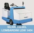 Fiorentini S48 D Lombardini