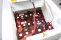 Fiorentini Smile 80 SM